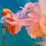 Рукодельный проект Hot Chilli с острым перцем и огненными мотивами