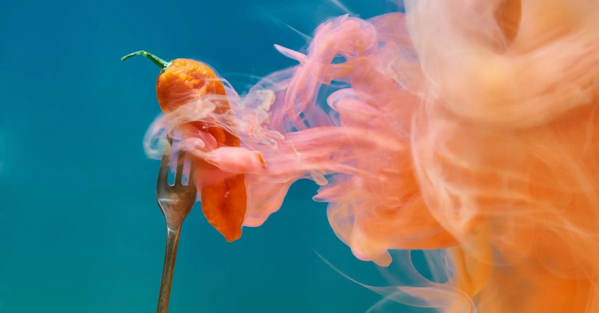 Рукодельный проект Hot Chilli с острым перцем и огненными мотивами